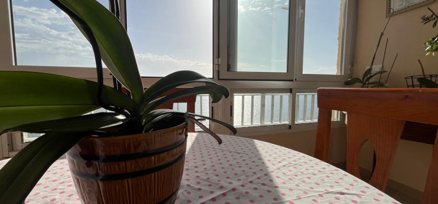 Torrevieja, Alicante, 3 Bedrooms Bedrooms, ,2 BathroomsBathrooms,Apartment,Resale,0,75632627361024880