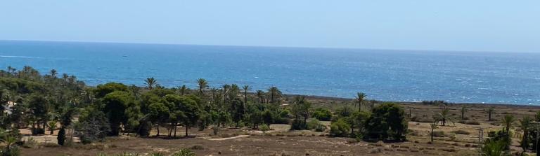 Apartment in Costa Blanca South, TORREVIEJA