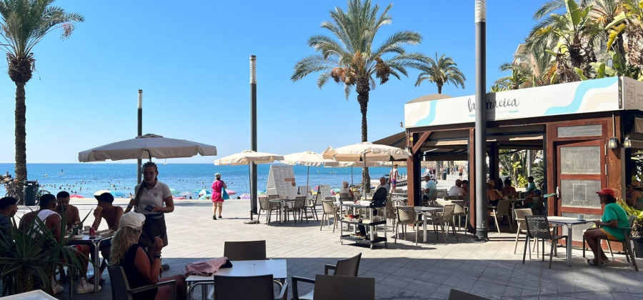 Torrevieja, Alicante, 4 Bedrooms Bedrooms, ,2 BathroomsBathrooms,Apartment,Resale,0,75632152612942480