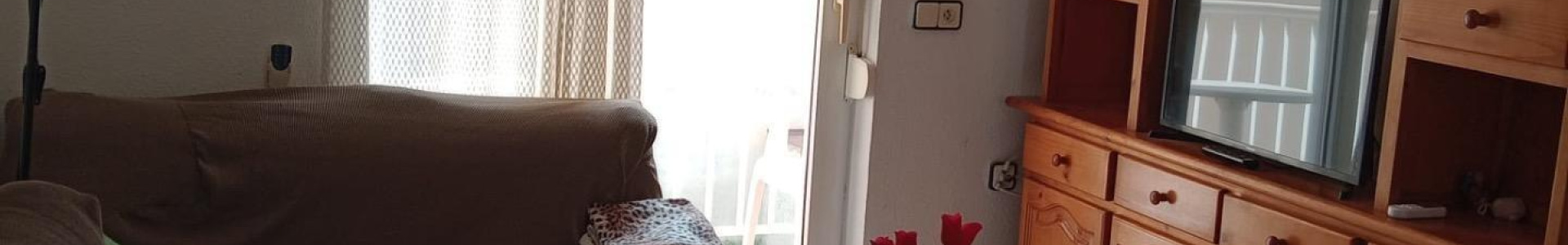 Apartment in Costa Blanca South, Torrevieja