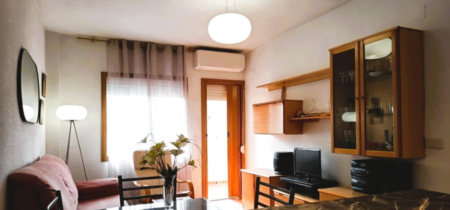 Orihuela Costa, Alicante, 1 Bedroom Bedrooms, ,1 BathroomBathrooms,Apartment,Resale,0,75632283880409152