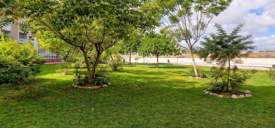 Torrevieja, Alicante, 2 Bedrooms Bedrooms, ,1 BathroomBathrooms,Apartment,Resale,0,75632227770849168