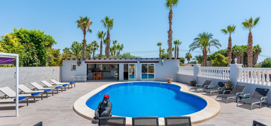 Catral, Alicante, 4 Bedrooms Bedrooms, ,4 BathroomsBathrooms,Country House or Finca,Resale,0,75632354607409088