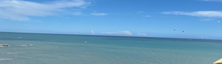 Torrevieja, Alicante, 2 Bedrooms Bedrooms, ,2 BathroomsBathrooms,Apartment,Resale,0,75632506861763456