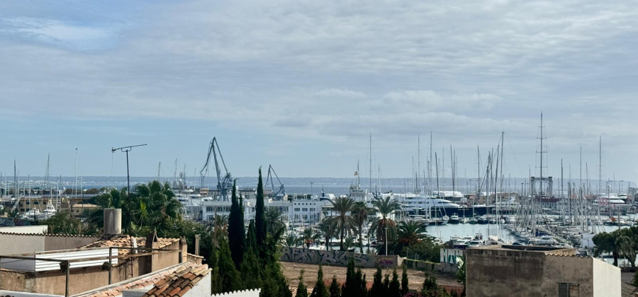 PALMA, MALLORCA, 3 Bedrooms Bedrooms, ,3 BathroomsBathrooms,Apartment,Resale,0,10353692621165492