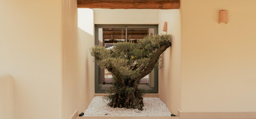 Javea Xabia, Alicante, 3 Bedrooms Bedrooms, ,3 BathroomsBathrooms,Villa,New,0,209559210556672928