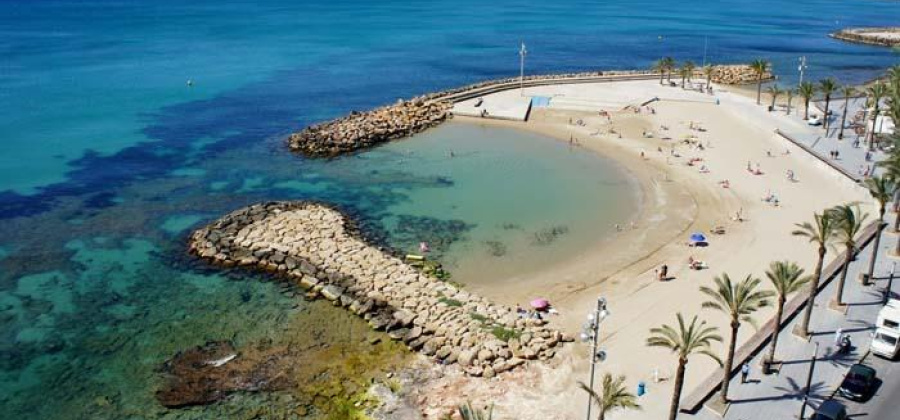 Torrevieja, Alicante, 1 Bedroom Bedrooms, ,1 BathroomBathrooms,Apartment,New,0,20955987603697752