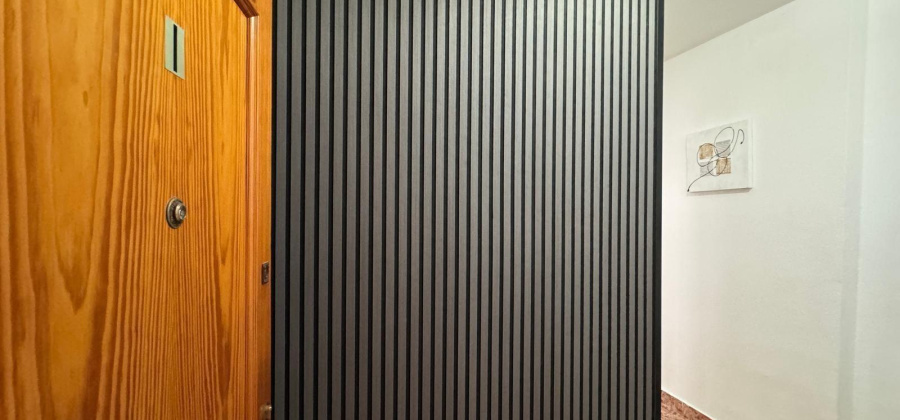 Torrevieja, Alicante, 1 Bedroom Bedrooms, ,1 BathroomBathrooms,Apartment,Resale,0,75632230053676112