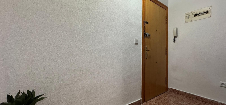 Torrevieja, Alicante, 1 Bedroom Bedrooms, ,1 BathroomBathrooms,Apartment,Resale,0,75632230053676112