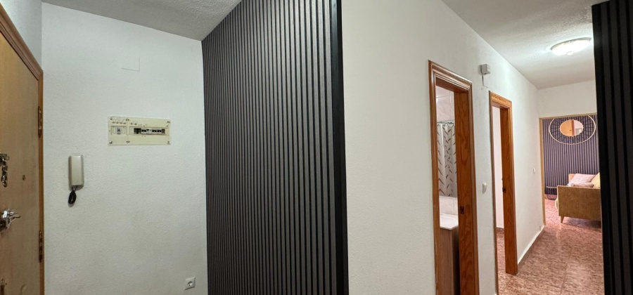 Torrevieja, Alicante, 1 Bedroom Bedrooms, ,1 BathroomBathrooms,Apartment,Resale,0,75632230053676112