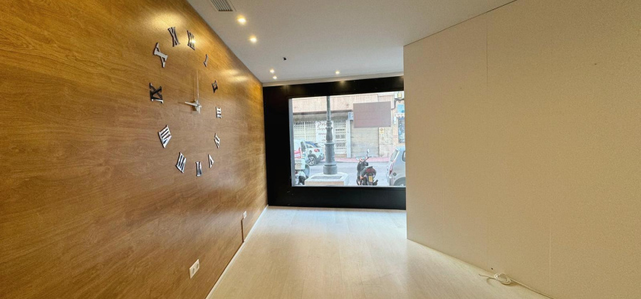 Guardamar del Segura, Alicante, ,Commercial Unit,Resale,0,75632229113186256