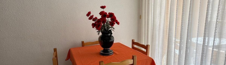 Apartment in Costa Blanca South, Torrevieja