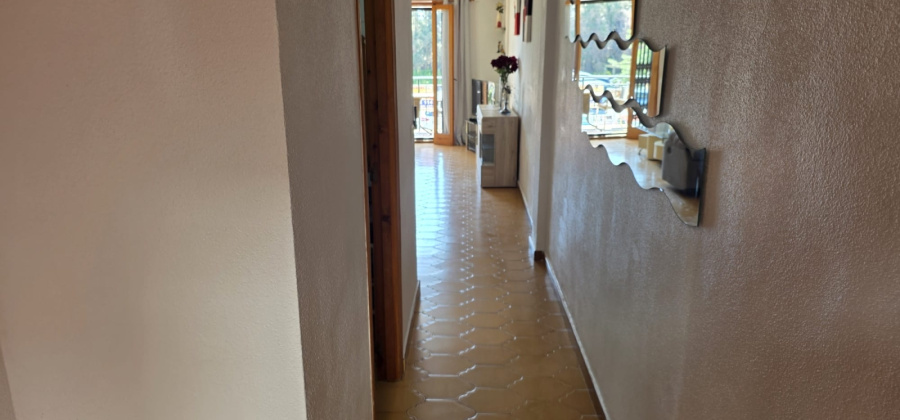 Villamartin, Alicante, 2 Bedrooms Bedrooms, ,1 BathroomBathrooms,Apartment,Resale,0,103186242671199360