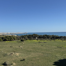 Apartment in Costa Blanca South, Punta Prima