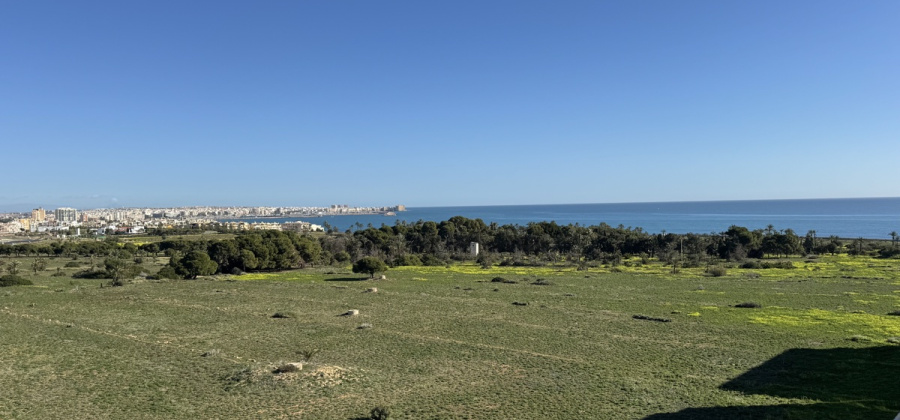 Punta Prima, Alicante, 2 Bedrooms Bedrooms, ,1 BathroomBathrooms,Apartment,Resale,0,103186293763111008