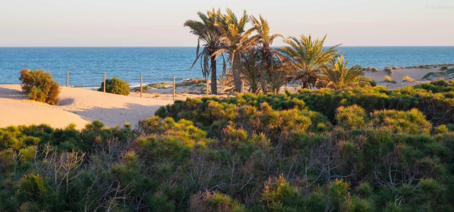 Guardamar del Segura, Alicante, 2 Bedrooms Bedrooms, ,2 BathroomsBathrooms,Apartment,New,0,209559168381430080