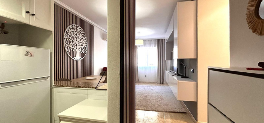 Torrevieja, Alicante, 2 Bedrooms Bedrooms, ,1 BathroomBathrooms,Apartment,Resale,0,75632156003494848