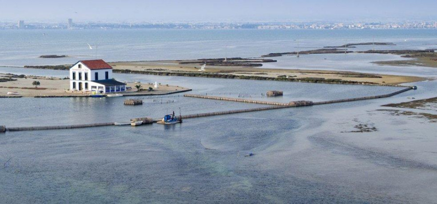 San Pedro del Pinatar, Murcia, 2 Bedrooms Bedrooms, ,2 BathroomsBathrooms,Apartment,New,0,209559108825901952