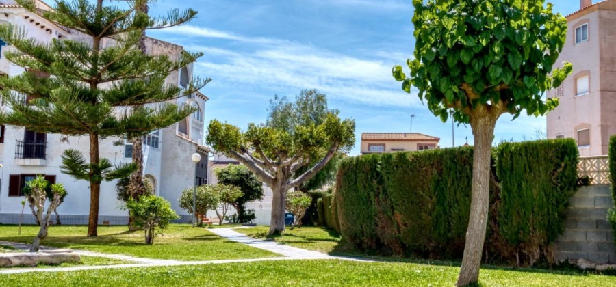 Torrevieja, Alicante, 1 Bedroom Bedrooms, ,1 BathroomBathrooms,Townhouse,Resale,0,75632142010143808