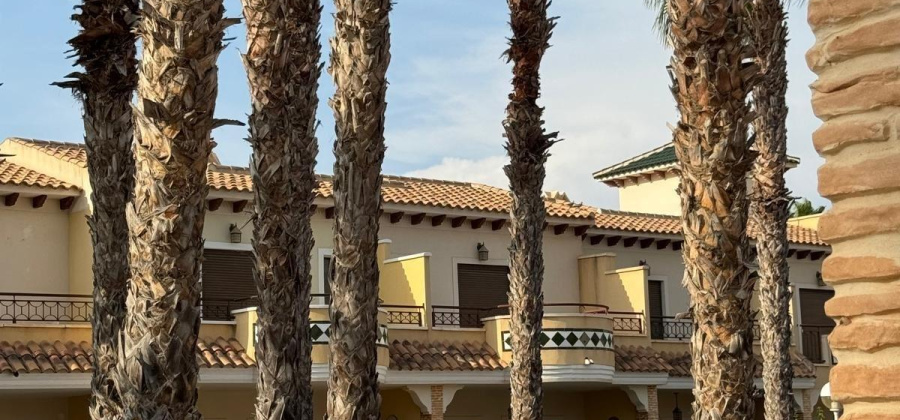 Rojales, Alicante, 3 Bedrooms Bedrooms, ,2 BathroomsBathrooms,Townhouse,Resale,0,75632146385390448