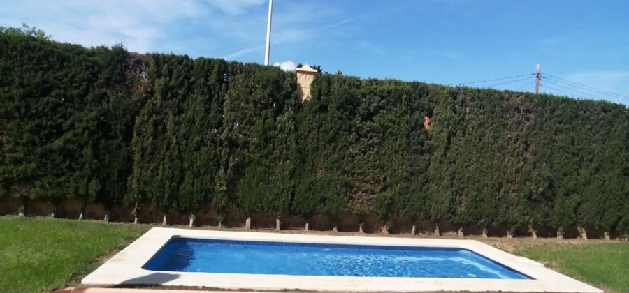 Torrevieja, Alicante, 4 Bedrooms Bedrooms, ,2 BathroomsBathrooms,Townhouse,Resale,0,75632577948972224