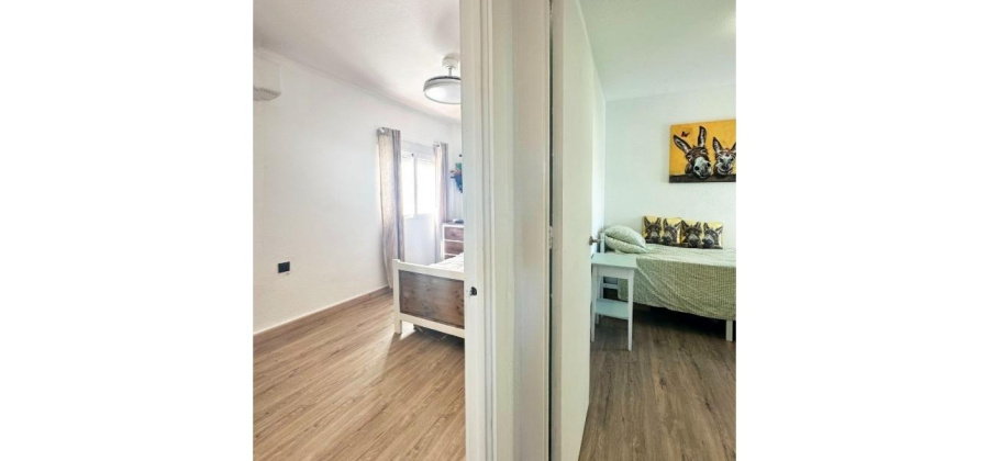 Orihuela Costa, Alicante, 2 Bedrooms Bedrooms, ,1 BathroomBathrooms,Bungalow,Resale,0,75632109393234048