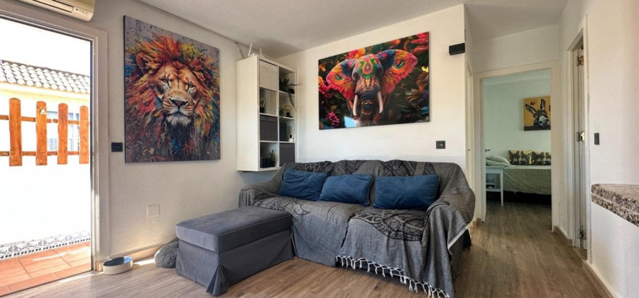 Orihuela Costa, Alicante, 2 Bedrooms Bedrooms, ,1 BathroomBathrooms,Bungalow,Resale,0,75632109393234048