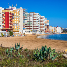Apartment in Costa Blanca South, TORREVIEJA