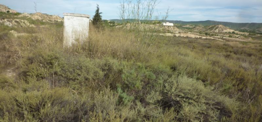 Orihuela, Alicante, ,Country House or Finca,Resale,0,75632156235119184