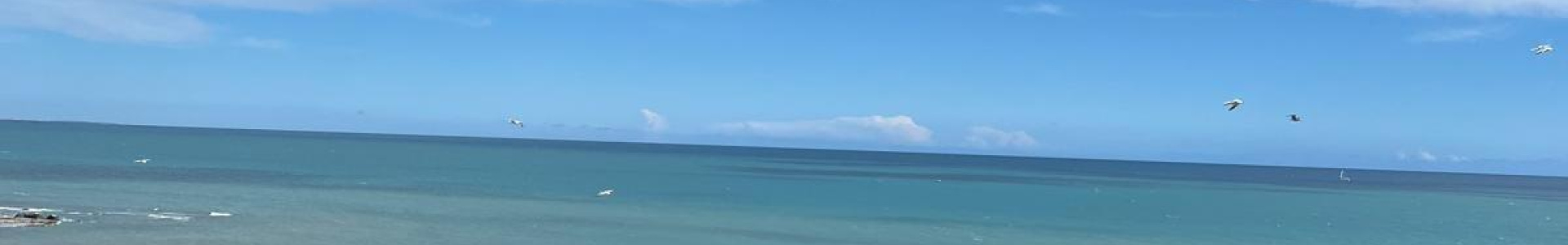 Apartment in Costa Blanca South, Torrevieja