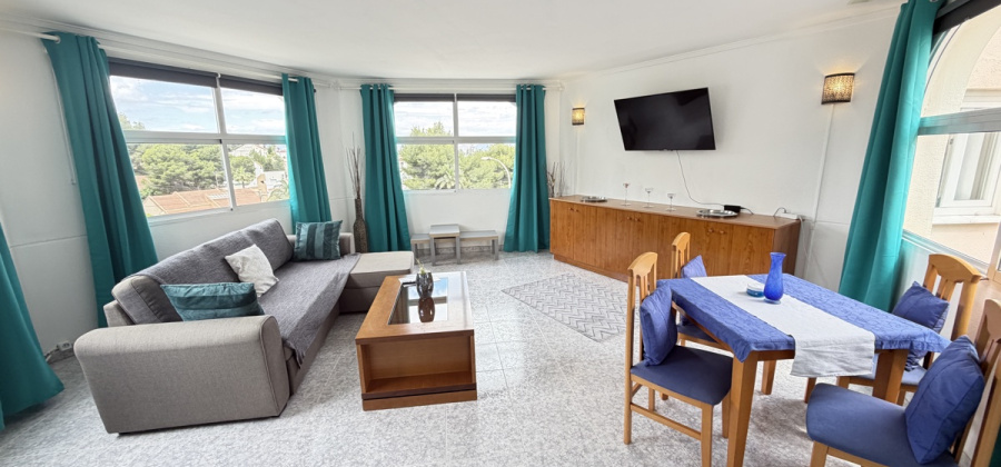 San Miguel de Salinas, Alicante, 1 Bedroom Bedrooms, ,1 BathroomBathrooms,Apartment,Resale,0,103186279482632336