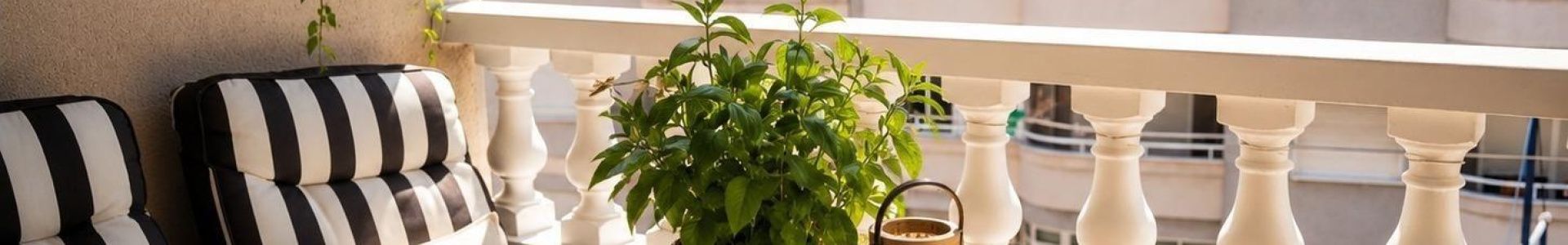 Apartment in Costa Blanca South, Torrevieja