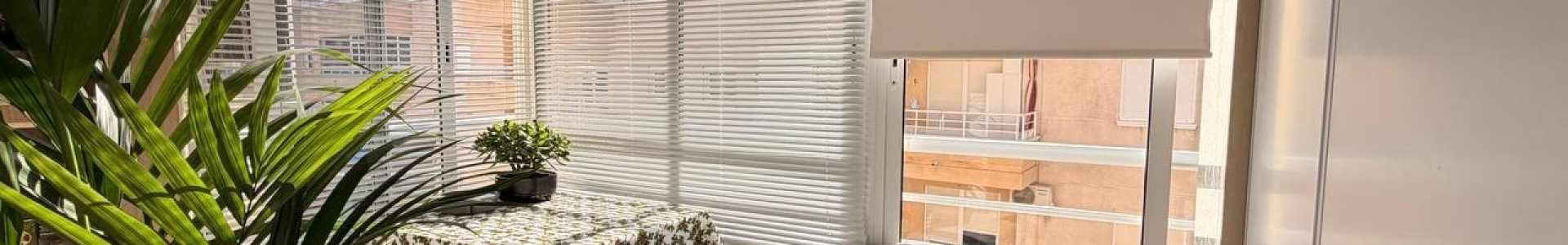 Apartment in Costa Blanca South, Torrevieja