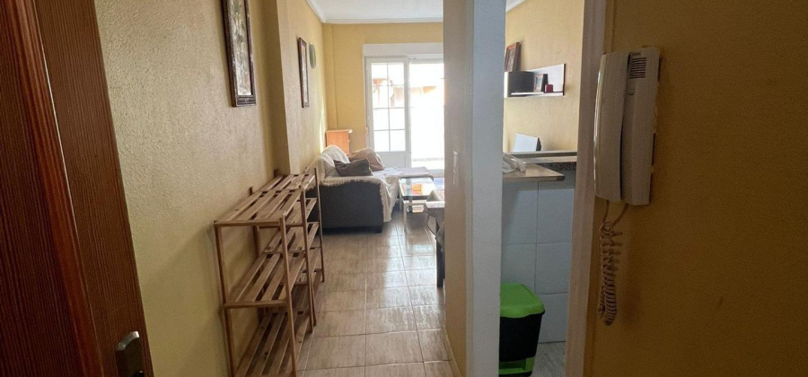 Torrevieja, Alicante, 1 Bedroom Bedrooms, ,1 BathroomBathrooms,Apartment,Resale,0,75632174031193696