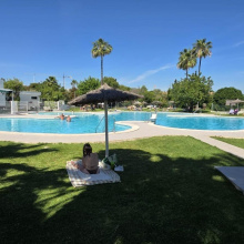 Torrevieja, Alicante, 1 Bedroom Bedrooms, ,1 BathroomBathrooms,Bungalow,Resale,0,7563299394020263