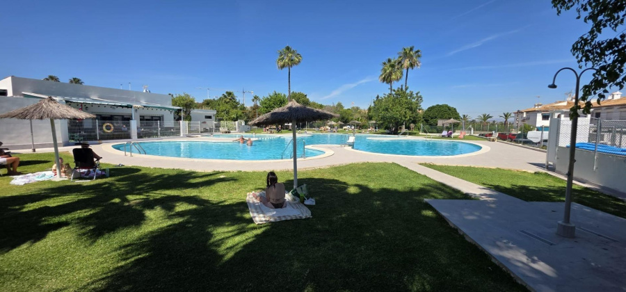 Torrevieja, Alicante, 1 Bedroom Bedrooms, ,1 BathroomBathrooms,Bungalow,Resale,0,7563299394020263
