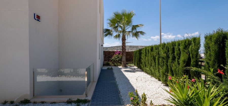 Algorfa, Alicante, 4 Bedrooms Bedrooms, ,3 BathroomsBathrooms,Villa,New,0,209559658339506752