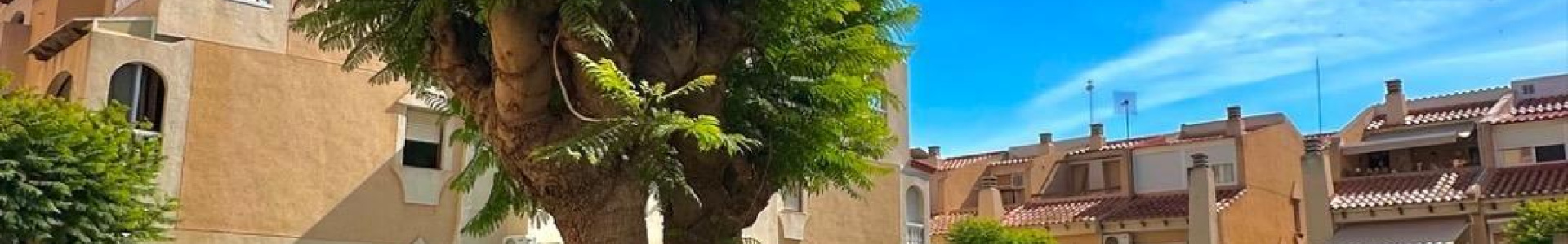 Torrevieja, Alicante, 2 Bedrooms Bedrooms, ,1 BathroomBathrooms,Apartment,Resale,0,75632207392821952