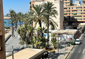 Torrevieja, Alicante, 4 Bedrooms Bedrooms, ,2 BathroomsBathrooms,Apartment,Resale,0,75632152612942480 Torrevieja, Alicante, 4 Bedrooms Bedrooms, ,2 BathroomsBathrooms,Apartment,Resale,0,75632152612942480