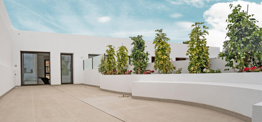 Almoradi, Alicante, 4 Bedrooms Bedrooms, ,3 BathroomsBathrooms,Villa,New,0,20955995070561184