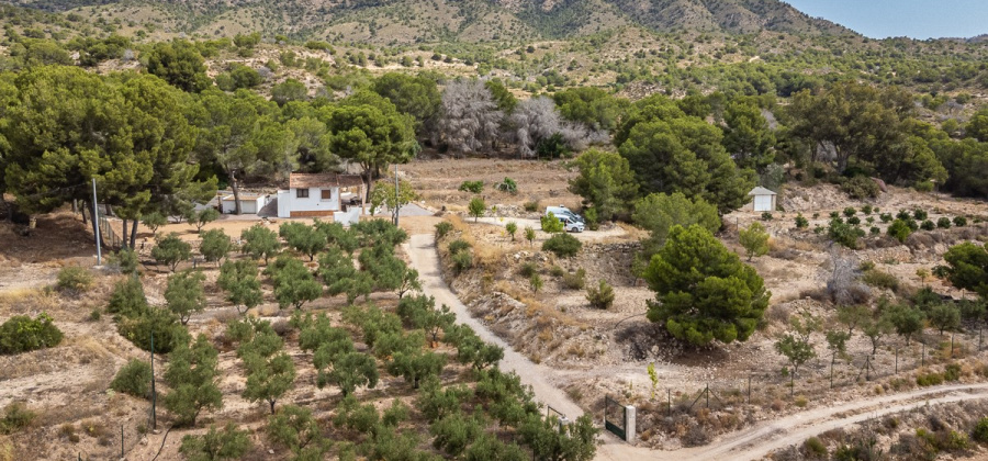 La Tercia, MURCIA / COSTA C&Atilde;LIDA, 1 Bedroom Bedrooms, ,1 BathroomBathrooms,Villa,Resale,0,10353679782074232