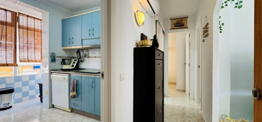 La Mata, Alicante, 2 Bedrooms Bedrooms, ,1 BathroomBathrooms,Apartment,Resale,0,291685103436862848