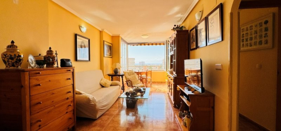 Torrevieja, Alicante, 2 Bedrooms Bedrooms, ,1 BathroomBathrooms,Apartment,Resale,0,29168577344363072