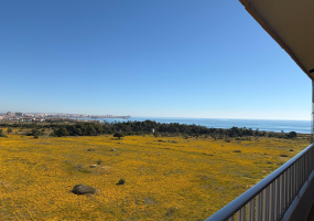 Torrevieja, Alicante, 2 Bedrooms Bedrooms, ,1 BathroomBathrooms,Apartment,Resale,0,75632139882182032 Torrevieja, Alicante, 2 Bedrooms Bedrooms, ,1 BathroomBathrooms,Apartment,Resale,0,75632139882182032