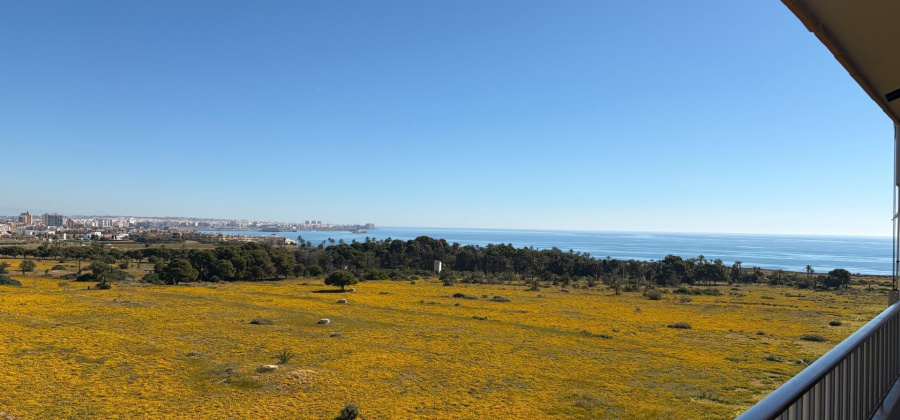 Torrevieja, Alicante, 2 Bedrooms Bedrooms, ,1 BathroomBathrooms,Apartment,Resale,0,75632139882182032