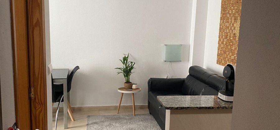 Torrevieja, Alicante, 1 Bedroom Bedrooms, ,1 BathroomBathrooms,Apartment,Resale,0,75632241359156944