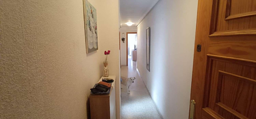 Torrevieja, Alicante, 1 Bedroom Bedrooms, ,1 BathroomBathrooms,Apartment,Resale,0,75632160307656016