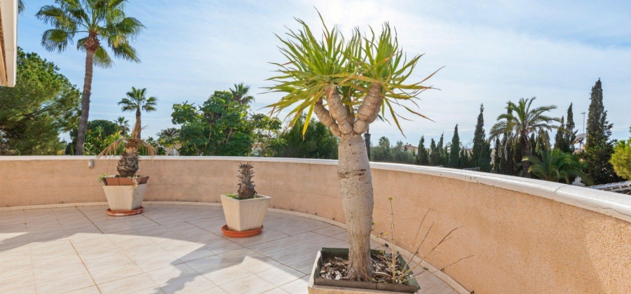 Rojales, Alicante, 5 Bedrooms Bedrooms, ,4 BathroomsBathrooms,Villa,Resale,0,7563299414490019
