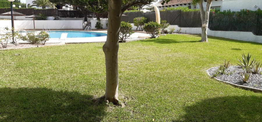 Orihuela Costa, Alicante, 3 Bedrooms Bedrooms, ,3 BathroomsBathrooms,Villa,Resale,0,7563299897987715