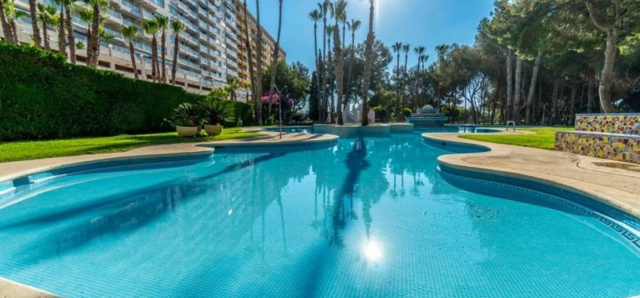 Dehesa de campoamor, Alicante, 3 Bedrooms Bedrooms, ,1 BathroomBathrooms,Apartment,Resale,0,65945232844871232